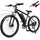 iSinwheel M10 500W Electric Bike E-MTB