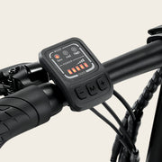 electric bikes Assistance