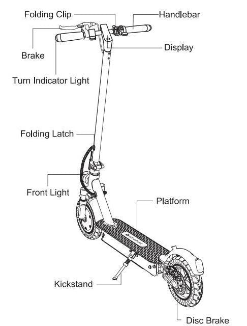 adult scooters for sale