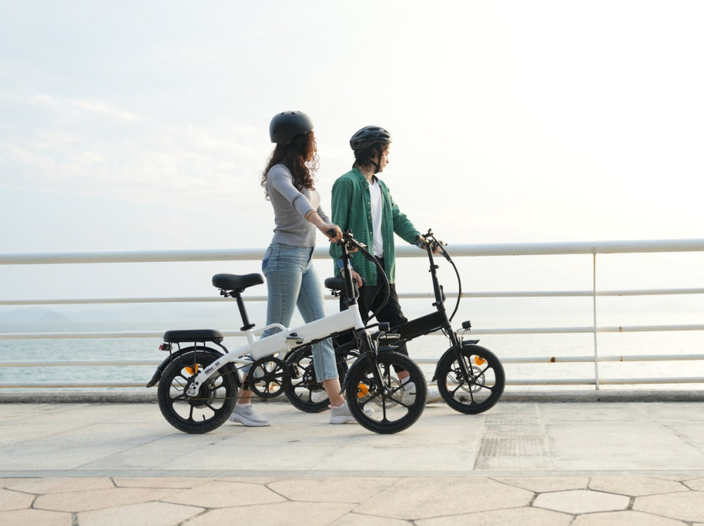 electric bike for adults