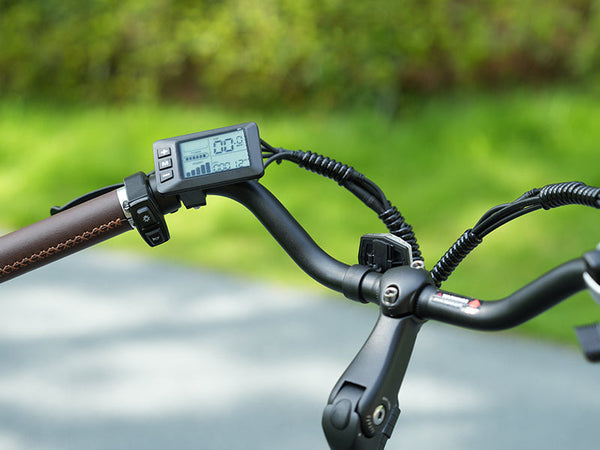 Electric Bicycle LCD Display: The Ultimate Guide to Smarter Riding