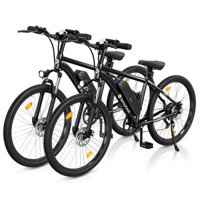 iSinwheel M10 500W Electric Bike E-MTB