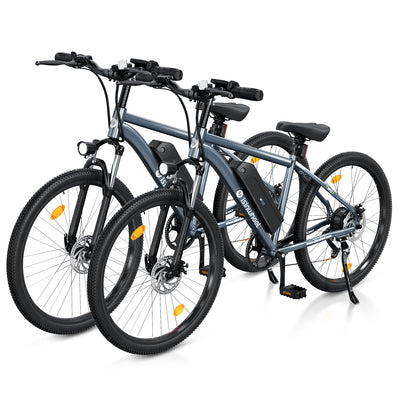 iSinwheel M10 500W Electric Bike E-MTB
