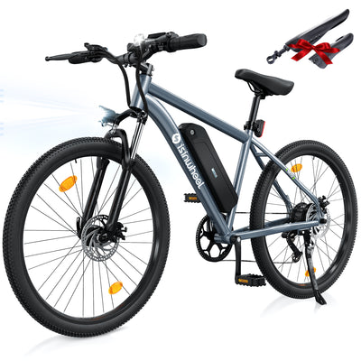 iSinwheel M10 500W Electric Bike E-MTB