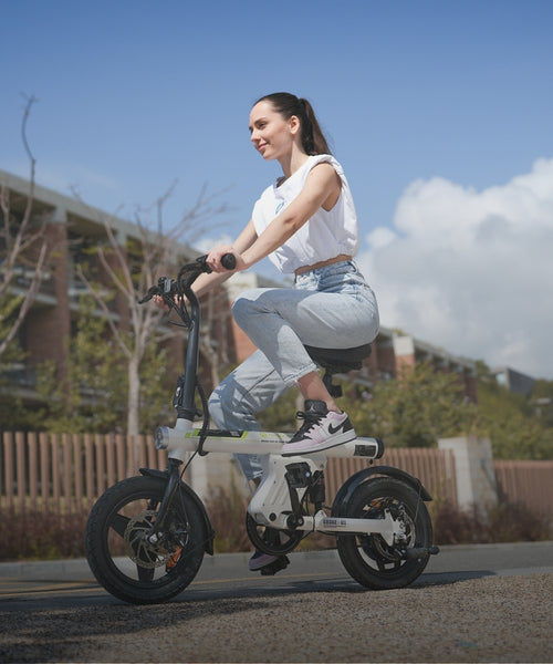 Electric Bike