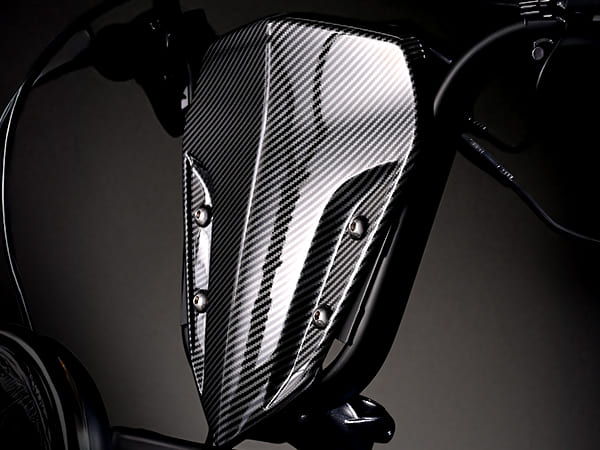 Carbon Fiber Windshield