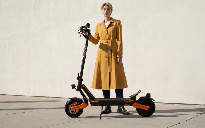 Electric Scooters